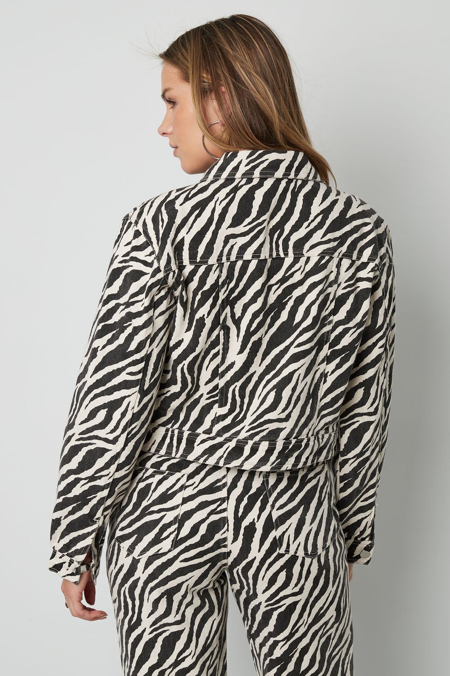 Het zebrajack Afbeelding5